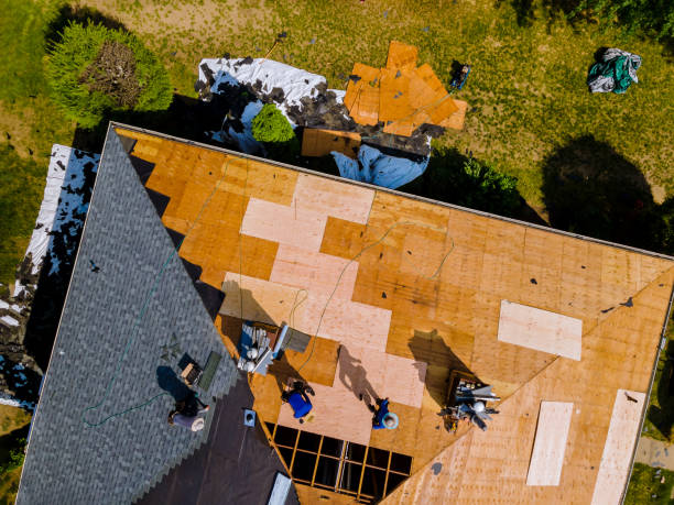 Best Shingle Roofing Installation  in Evart, MI
