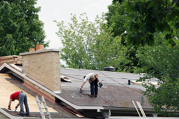 Roof Gutter Cleaning in Evart, MI