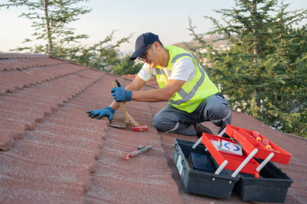 Best Shingle Roofing Installation  in Evart, MI