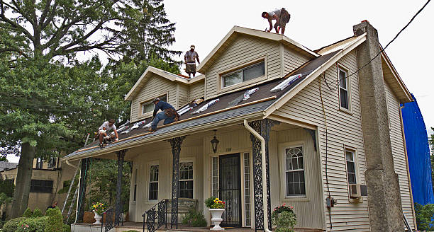 Best Roof Repair Services  in Evart, MI