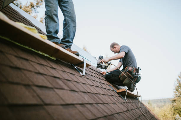 Best Local Roofing Companies  in Evart, MI